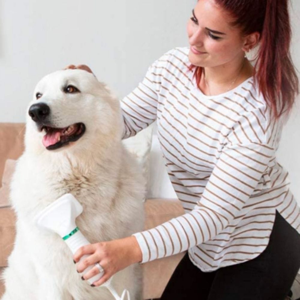 🐕🐱Cepillo secador 2 en 1 para perros y gatos, peina y seca rápido tu mascota