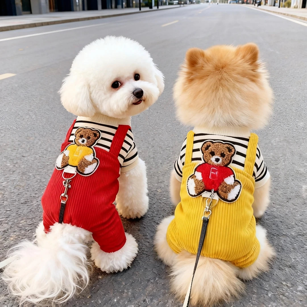 🐶 Abrigos suaves, lindos y cálidos para perros y gatos