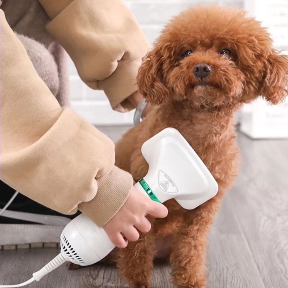 🐕🐱Cepillo secador 2 en 1 para perros y gatos, peina y seca rápido tu mascota