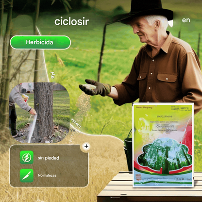 🌴🌳 Fungicida de cicloazolinona, fungicida para árboles grandes, herbicida